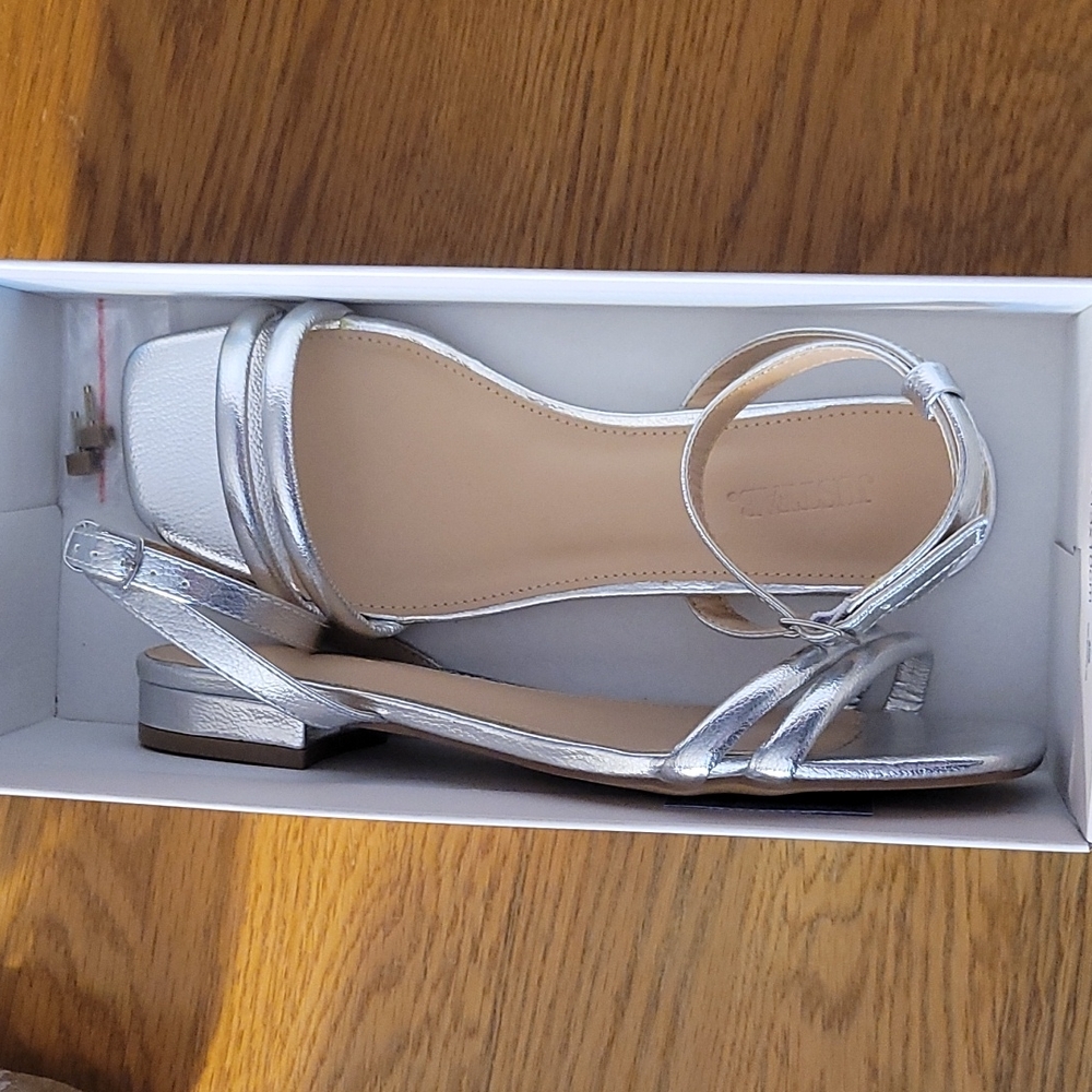 Silver Shannon Minimalist Sandal (Size 8)